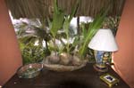 028PV