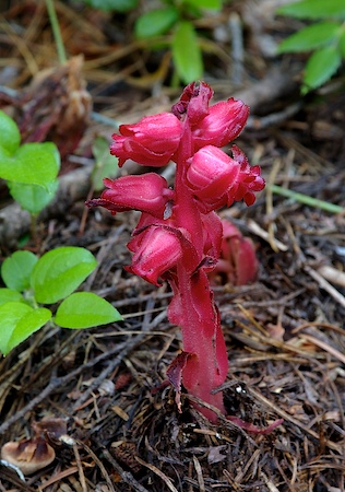 019