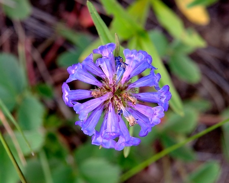 038